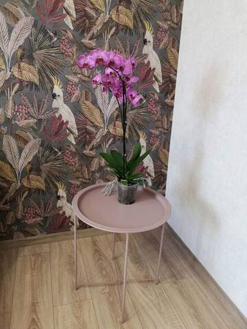 Фото номера Апартаменты с 2 спальнями Апартаменты Colibri г. Кременчуг 7